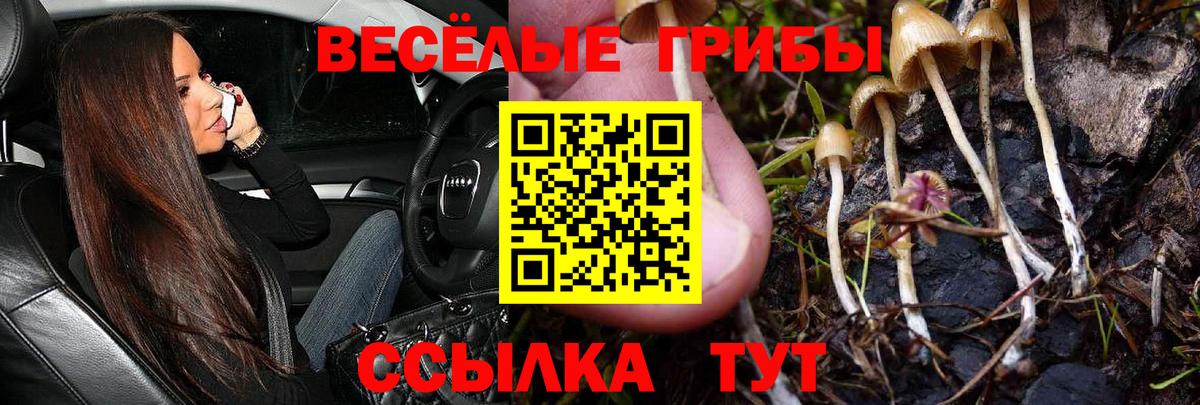 Жигулёвск  Галлюциногенные грибы мицелий  Вход с VPN 