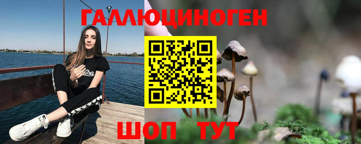 Псилоцибиновые грибы MAGIC MUSHROOMS Жигулёвск